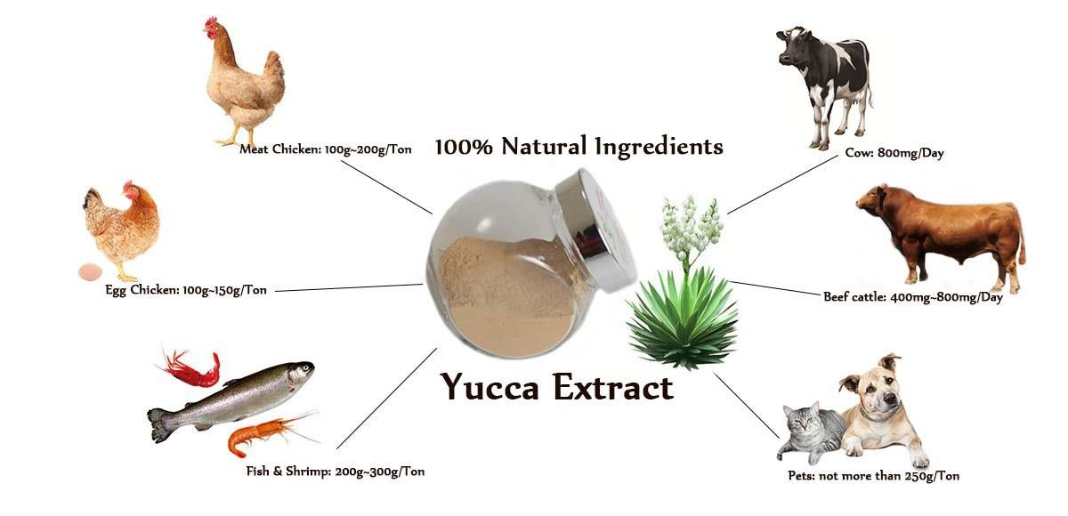 Natural feed additives yucca extract powder