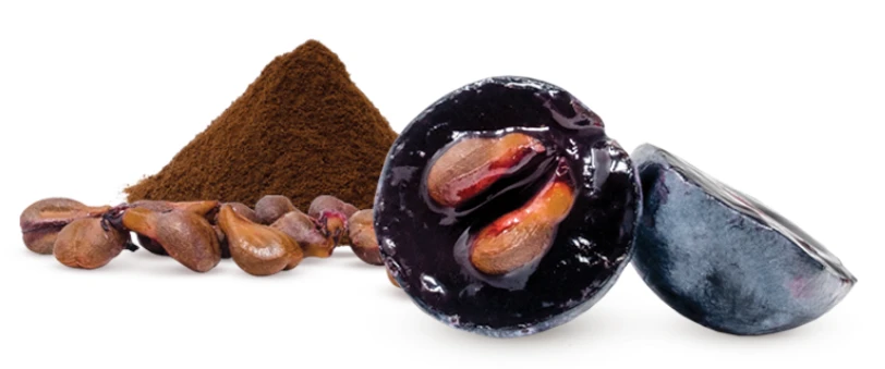 opc grape seed extract