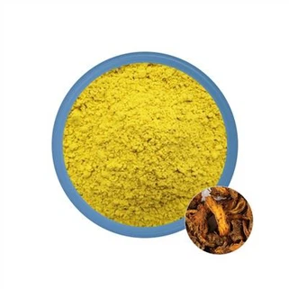 Púdar Sliocht Berberine