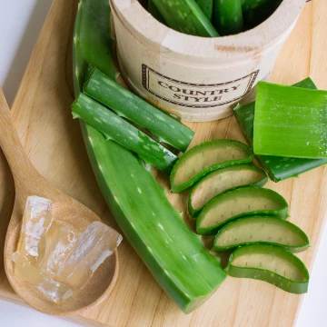 Buntáistí Púdar Aloe Vera Canine